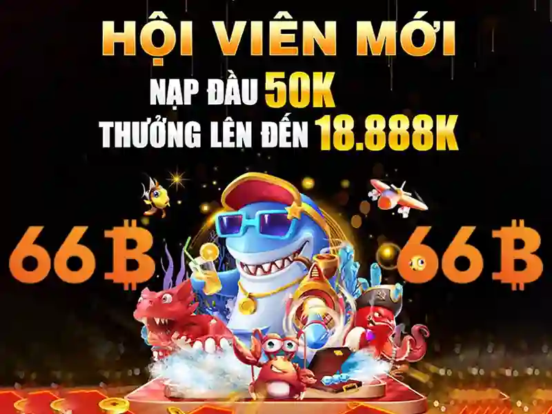 Hiệu suất và ứng dụng của 66b\n\n Hiệu suất và ứng dụng của 66b\n\n
