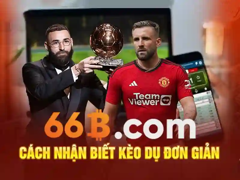 Quy mô và kiến trúc của 66B Quy mô và kiến trúc của 66B