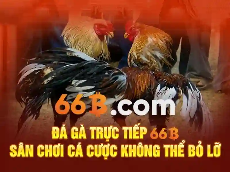 66B: Hiểu biết và Ứng dụng của Mô hình ngôn ngữ khối lượng lớn 66B