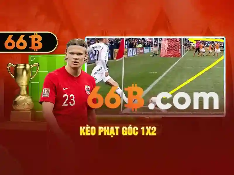 66b là gì và tại sao nó được quan tâm