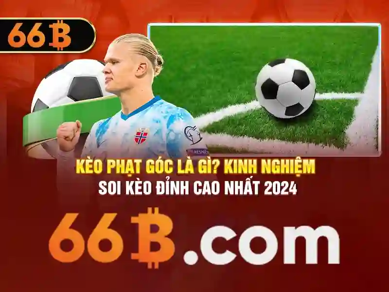 66b nguyễn sĩ sách phường 15 quận tân bình – Tổng quan chủ đề và giá trị cốt lõi