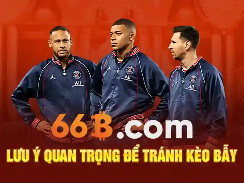Những thành phần chính của 66B Những thành phần chính của 66B
