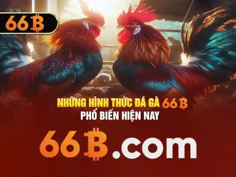 Nguồn gốc từ ngữ và sứ mệnh của 66b .com