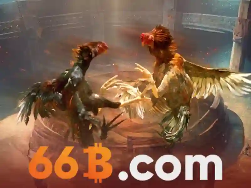 66b .com – Tổng quan chủ đề và giá trị cốt lõi