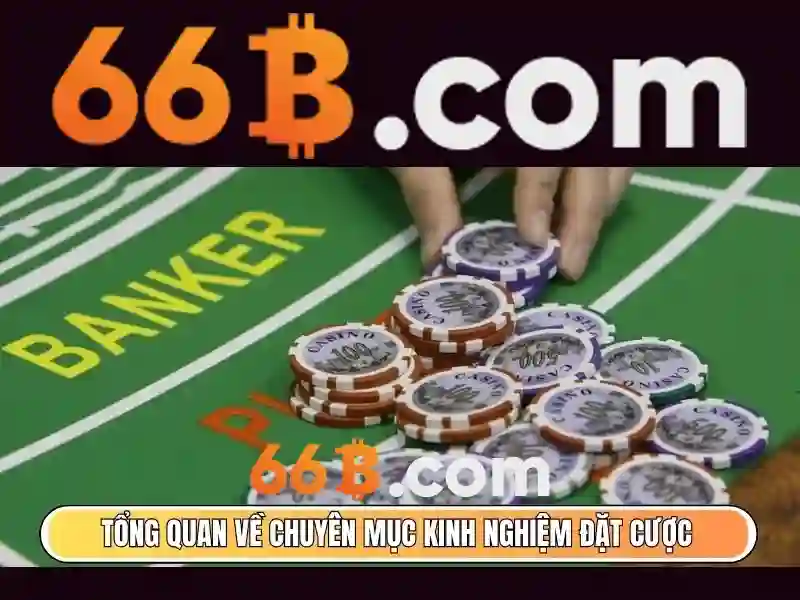 Công nghệ nền tảng và kiến trúc của 66b Công nghệ nền tảng và kiến trúc của 66b