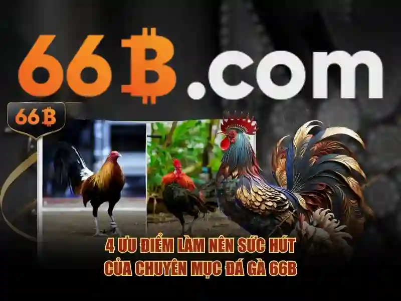 66b: một ký hiệu huyền bí trong thế giới số
