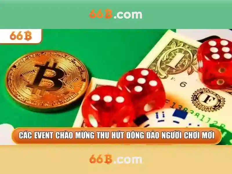 Kiến thức cơ bản về kích thước mô hình