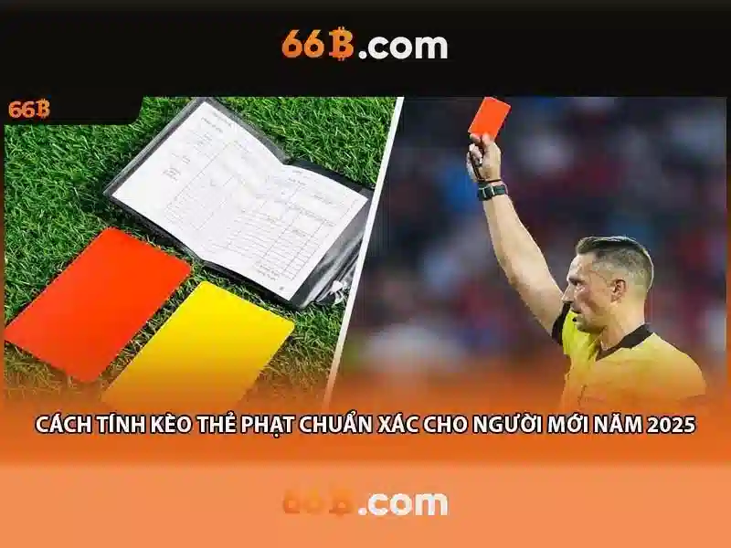 66b bet com: Định hình thương hiệu và trải nghiệm người dùng