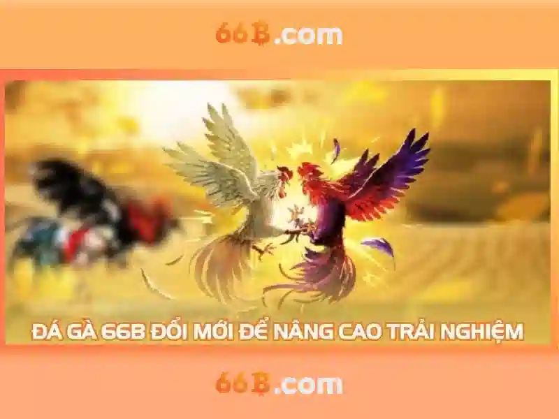 66b – Dấu hiệu và hành trình trong văn hóa đương đại