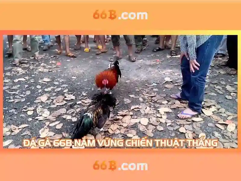 cờ tướng 66b – kết nối đam mê và công nghệ trên toàn cầu