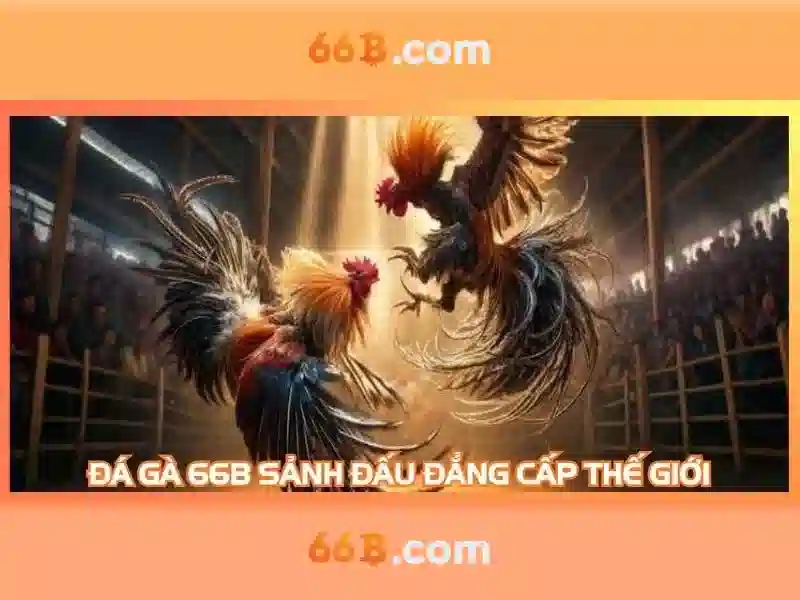 Ứng dụng của 66b trong công nghệ