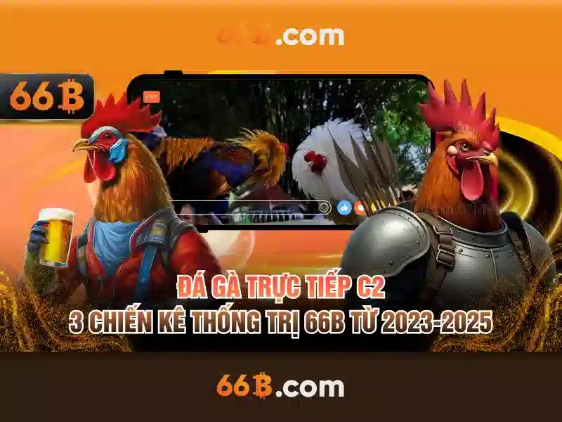 Các đặc điểm chính của 66b Các đặc điểm chính của 66b