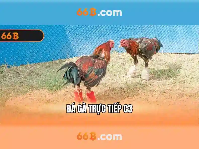66b: Mô hình ngôn ngữ 66 tỷ tham số và tương lai của trí tuệ nhân tạo
