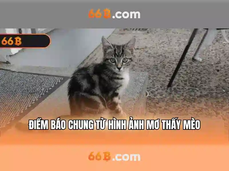 66b: một cái nhìn tổng quan về mô hình ngôn ngữ quy mô lớn