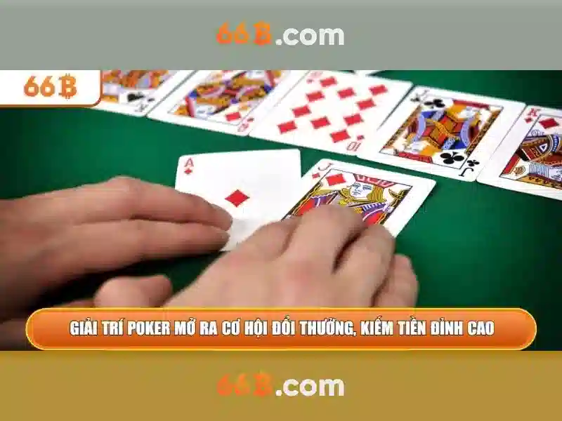 Trải nghiệm người dùng và phản hồi cộng đồng Trải nghiệm người dùng và phản hồi cộng đồng