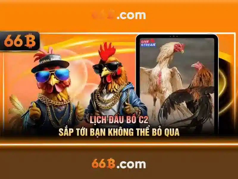 66B: Hiểu về mô hình ngôn ngữ lớn 66 tỷ tham số
