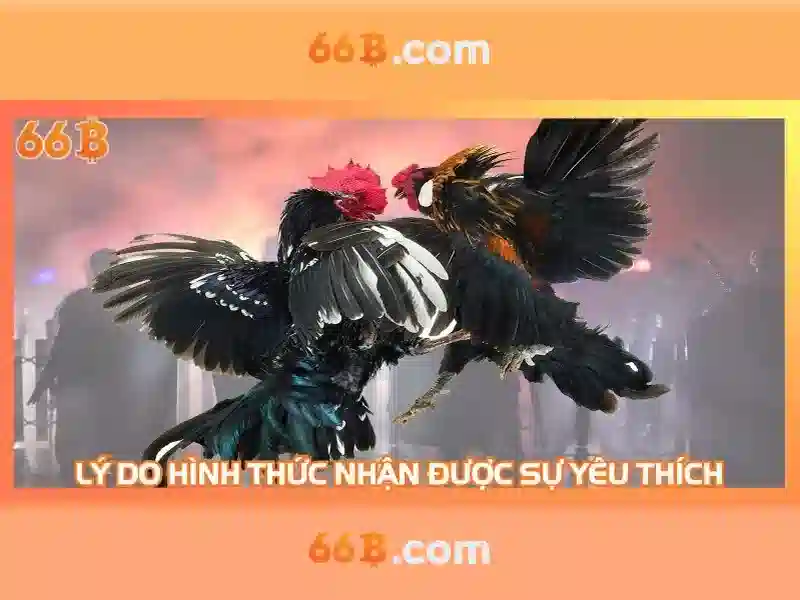 Thách thức và tương lai của 66b