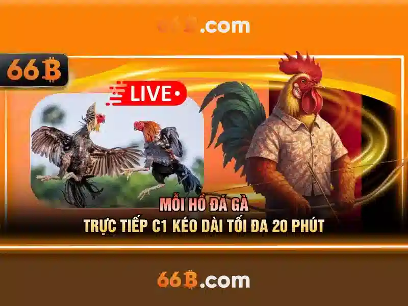 Khái quát về 66B: mô hình ngôn ngữ 66 tỷ tham số