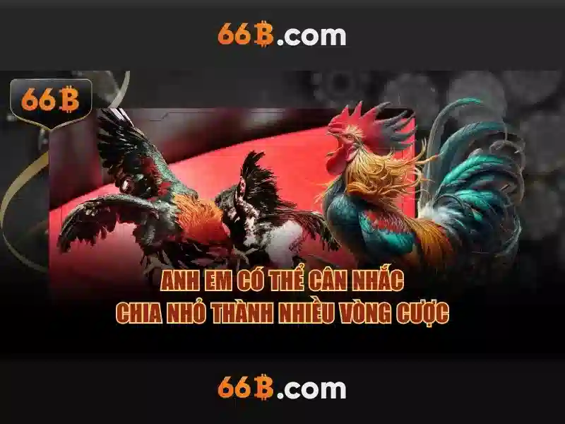 66b chính thức – Giá trị và hành trình thương hiệu