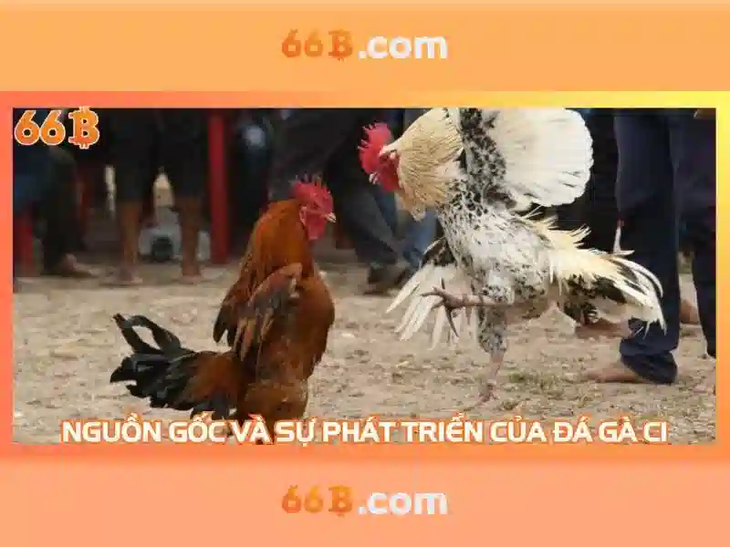 Giới thiệu về 66b\n\n Giới thiệu về 66b\n\n
