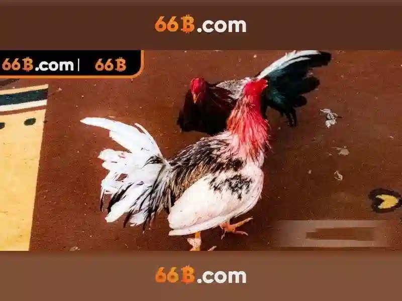 Ứng dụng và thách thức Ứng dụng và thách thức