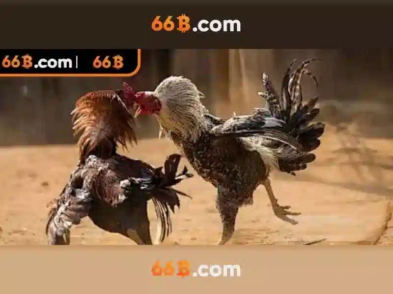 66B: Mô hình ngôn ngữ lớn 66B và những tiềm năng