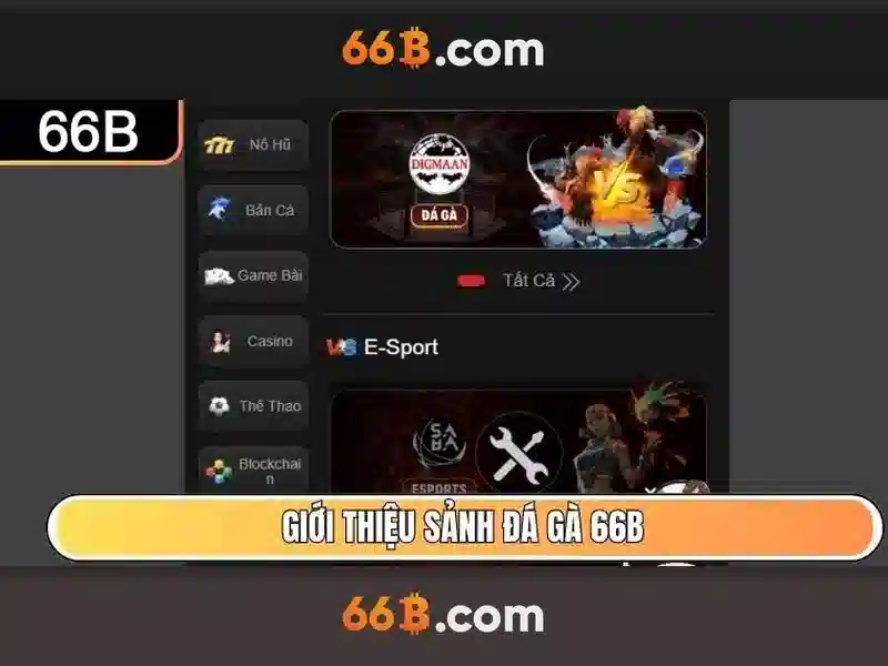 66B là gì? 66B là gì?