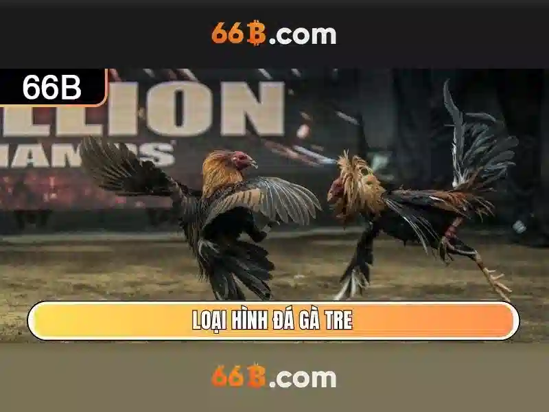 66b: Khái niệm, ứng dụng và ảnh hưởng