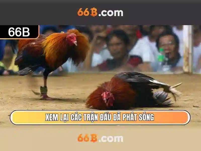 Kết luận