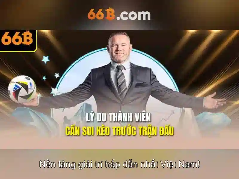 66b — khái niệm và ý nghĩa trong thế giới số