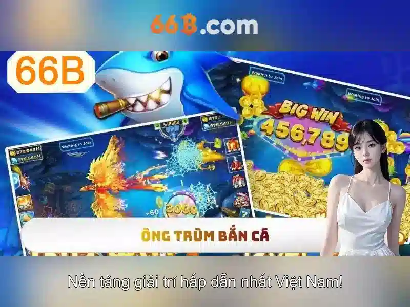 66b có giấy phép không – Tổng quan chủ đề và giá trị cốt lõi