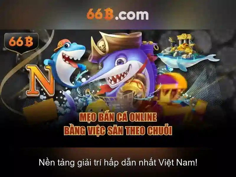 66b là gì
