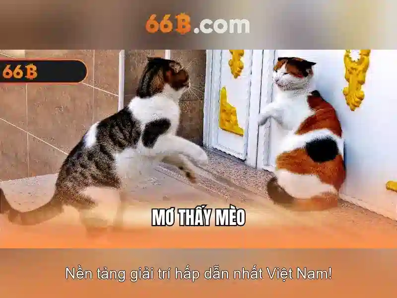 Giới thiệu về 66b Giới thiệu về 66b