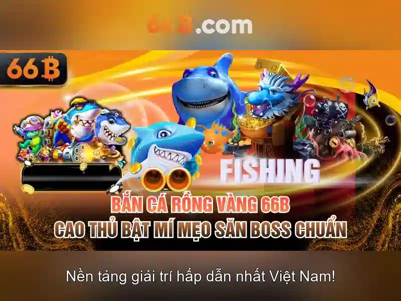 Kết luận về 66b và tương lai của nó Kết luận về 66b và tương lai của nó