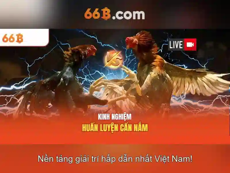 66b: Tổng quan về công nghệ và tiềm năng