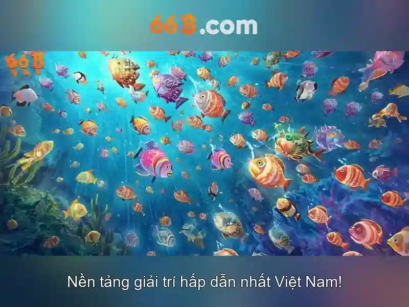 66B là gì? 66B là gì?