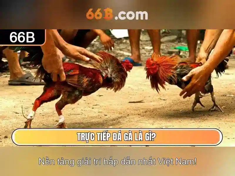 66B: Mô hình ngôn ngữ 66 tỷ tham số và tương lai của AI