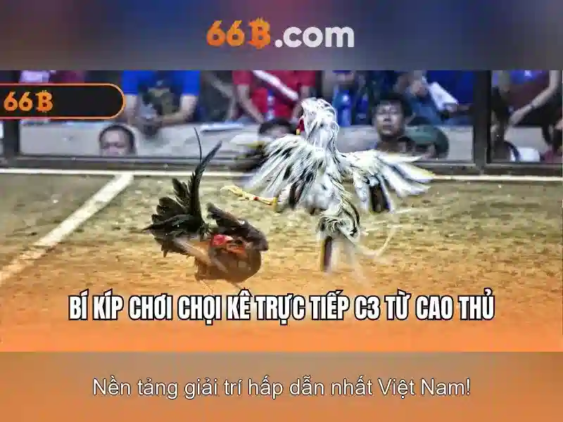 66b: một ký hiệu đa nghĩa trong toán học và văn hóa số