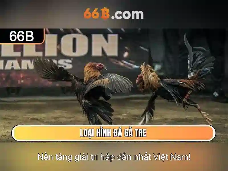 66b: một khái niệm công nghệ đang lên