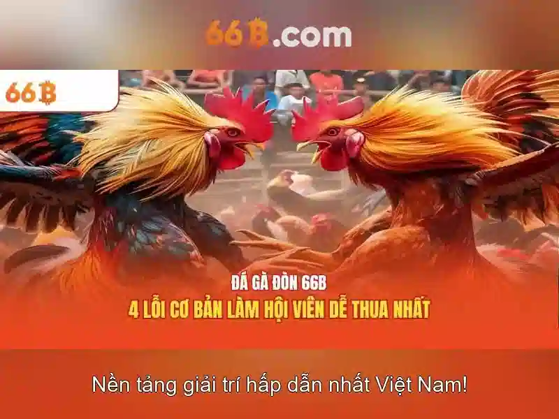 66b là một khái niệm số học và dữ liệu đáng chú ý