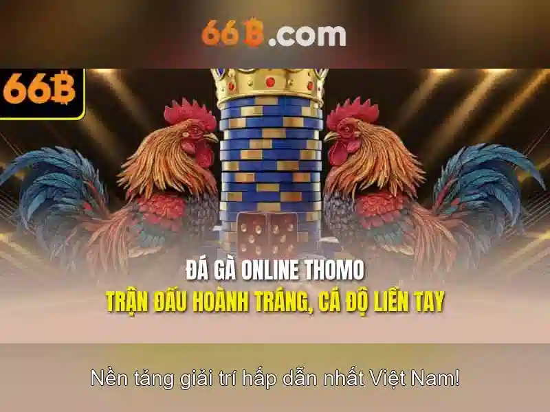 66b là gì?\n