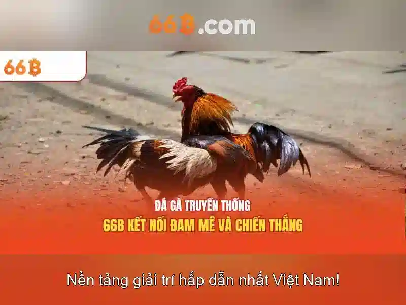 Kiến trúc cơ bản của 66B