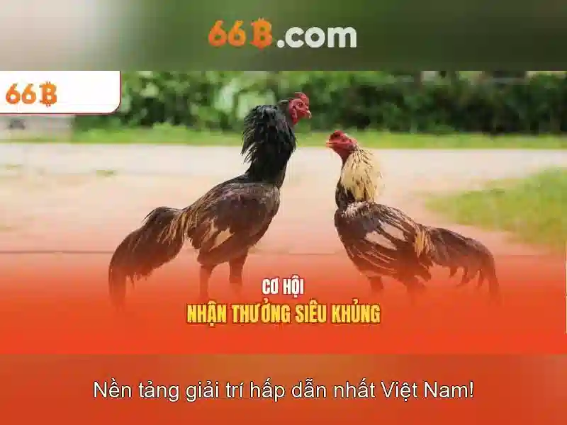 Khái niệm cơ bản của 66B Khái niệm cơ bản của 66B