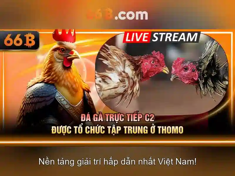 66b: Nền tảng công nghệ cho tương lai