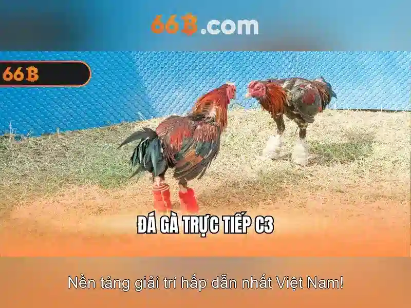 Lợi thế và sức cạnh tranh của 66b login