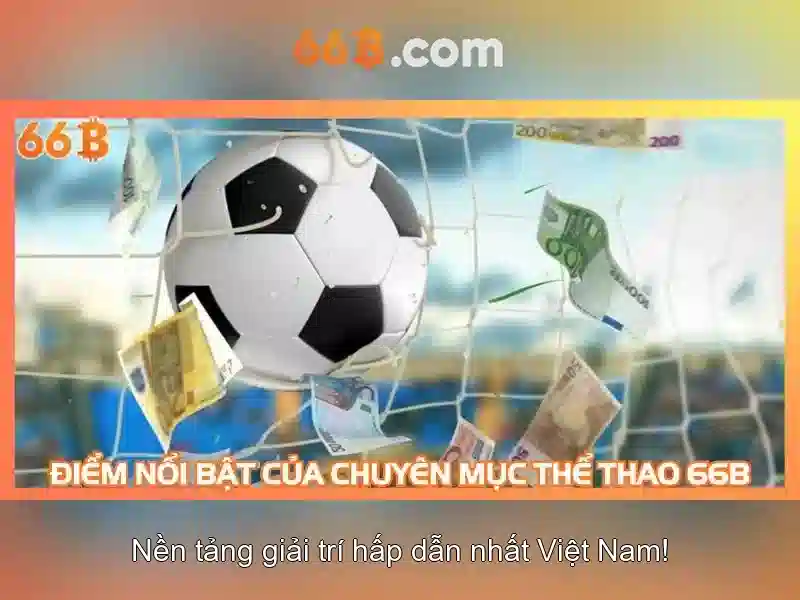 66B là gì và vì sao nó quan trọng
