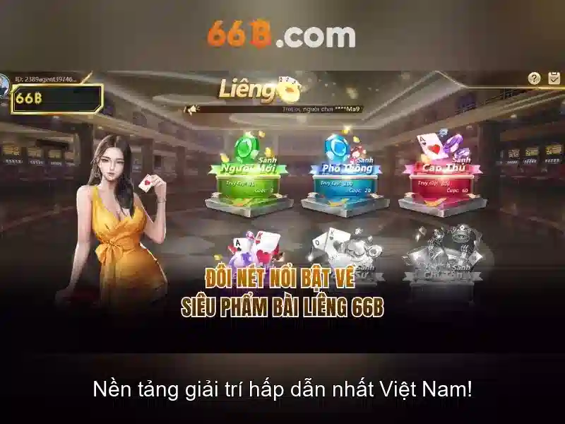 Kiến trúc tổng quan của 66b\n\n Kiến trúc tổng quan của 66b\n\n