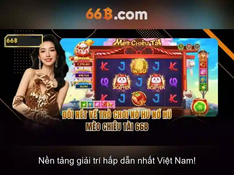 Đặc điểm kỹ thuật của 66B Đặc điểm kỹ thuật của 66B