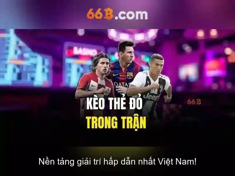 66B là gì?\n