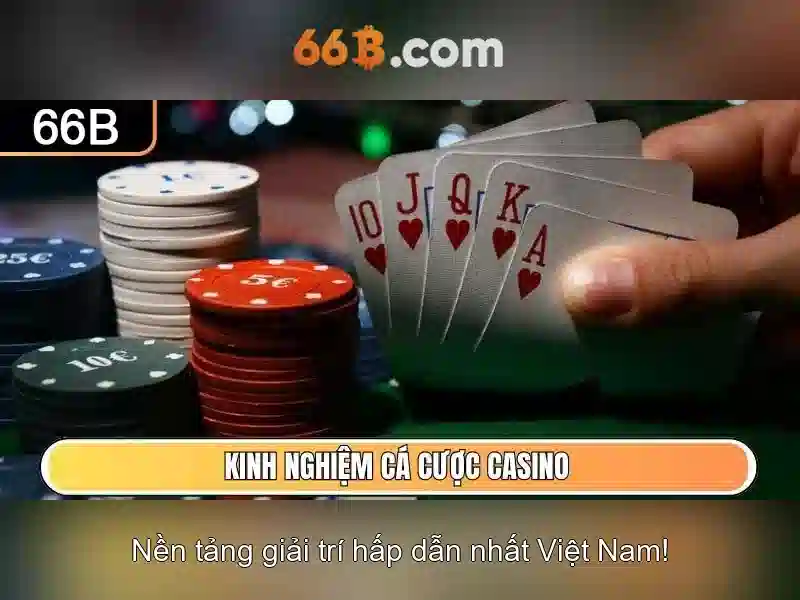 66B là gì?